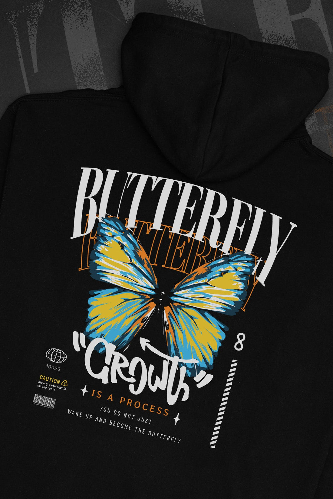 Butterfly Growth AroAce Hoodie