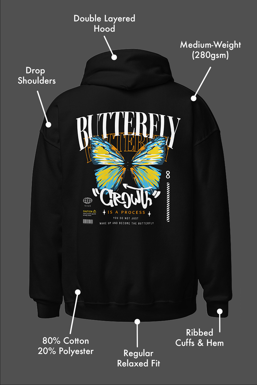 Butterfly Growth AroAce Hoodie